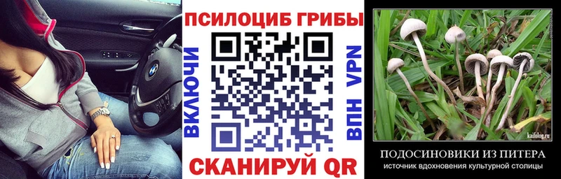Псилоцибиновые грибы Psilocybe  Купить  Борзя 
